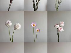 -亭亭鲜花店(中山北路店)