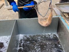 -姥家大锅台水库渔家