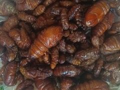 -小仙居·农家宴烤羊· 农庄