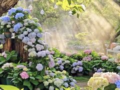 -名花谷生态庄园