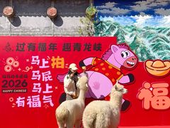 -昆明青龙峡风景区