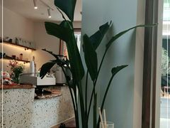 -Line 咖啡(石厦花园店)