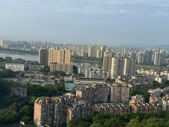 -福道