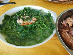 -大湾区中央湿地公园-十九涌