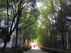 -苏州独墅湖科教创新区医院