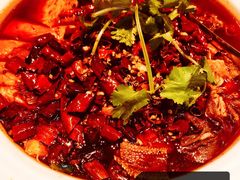 -红辣椒·川菜·火锅(大洋中心店)