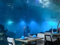 -海棠湾洲际-涛·海底餐厅·美人鱼·自助餐·海底隧道
