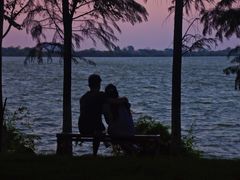 -瑶湖郊野森林公园