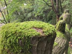 -神农架香溪源景区