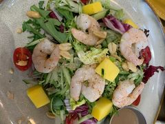 -HELLO 27 意面·沙拉·帕尼尼