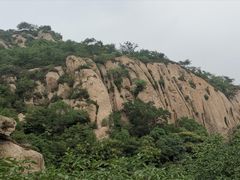 -大岭沟猕猴桃谷风景区