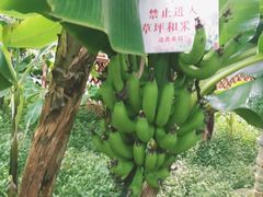 -汤山翠谷生态餐厅