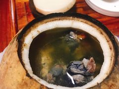 -達揚原味燉品(文明路店)