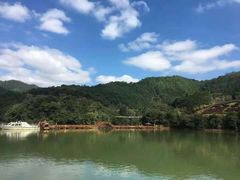 -天台国家森林公园水上茶乡九鹏溪