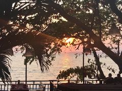 -卷心菜和避孕套餐厅(Pattaya)