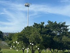 -长春世界雕塑园冰雪艺术天地