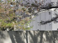 -龙美术馆(西岸馆)