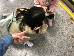 -黄浦江游览快线(金陵东路码头)