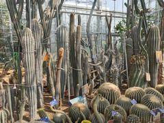 -国家植物园南园