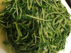-高老庄绿色传奇(昊元生活广场店)