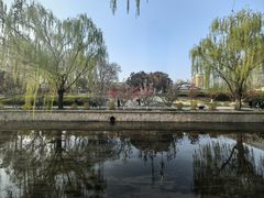 -元大都城垣遗址公园