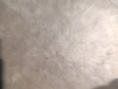 -老蒲鲜·地标·非遗美食(涵江店)