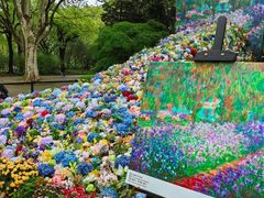 -上海共青森林公园