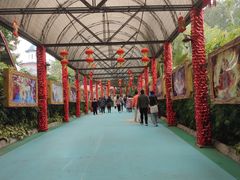 -广州长隆国际大马戏