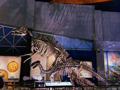 -湖南省地质博物馆