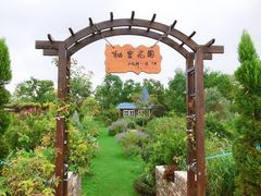 -杭州湾海上花田景区