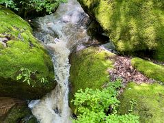 -茅兰沟国家森林公园