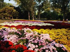 -国家植物园