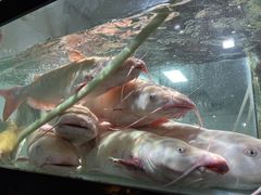 -融泽漁悦三只耳鱼火锅(南郑大道店)