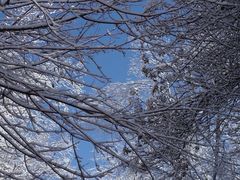 -叠溪松坪沟景区