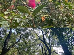 -宁波市保国寺古建筑博物馆