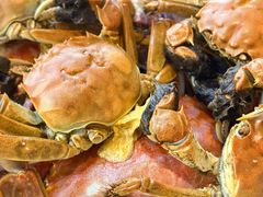 -半岛听涛蒸汽海鲜自助(K11店)