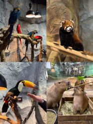 -Zoolung Zoolung动物主题公园(海信广场店)