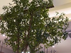 -春家·非遗手工小吃(徐汇万科广场店)