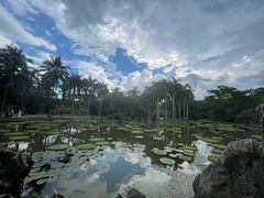 -中国科学院西双版纳热带植物园
