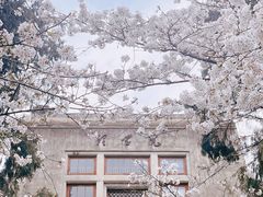 -武汉大学-樱园
