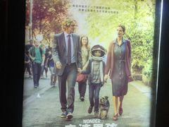 -万达影城(保定万博广场激光IMAX店)