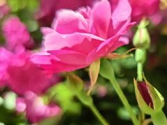 -龙格亲子游泳·水育早教运动中心(上虞钱江中心)