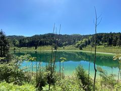 -武陵山森林公园