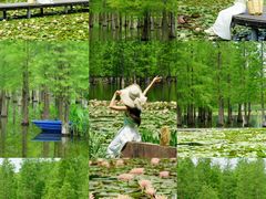 -白鹭湾湿地公园