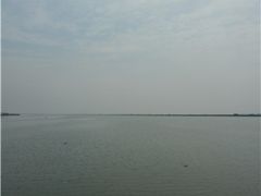 -阳澄湖大闸蟹·琼灵阁牌品牌连锁(吴中总店)