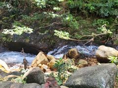 -姑婆山旅游区