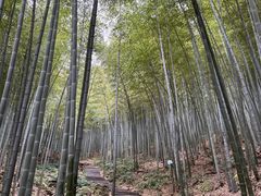 -高老庄·老溧阳·私房菜(南山竹海店)