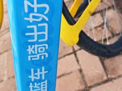 -海合安武汉极地海洋公园