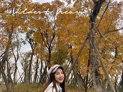 -白鹭湾湿地公园