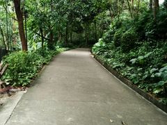 -南岗山公园